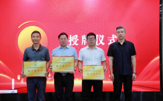 苏陕促进会回应“假总编张龙当选副主席”：已撤销相关资格